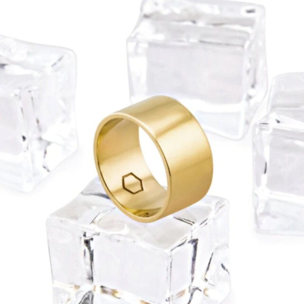 Cyclical Thick Ring - 14K Gold Vermeil